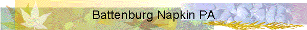 Battenburg Napkin PA