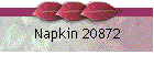 Napkin 20872