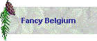 Fancy Belgium