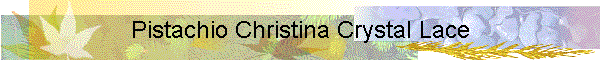 Pistachio Christina Crystal Lace
